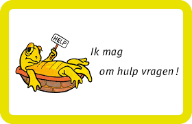 HULP bij INLOGGEN en gebruik van mijnbridge.nl